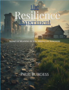 The Resilience Experiment (PDF Edition + 7 Extended Worksheets)